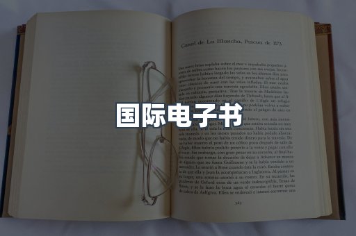国际电子书